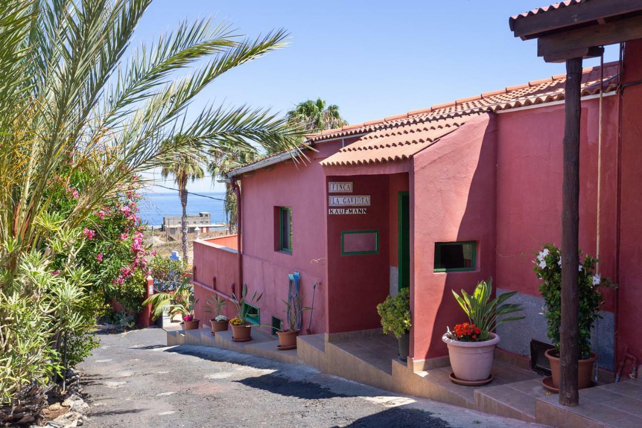 Finca La Gaviota - El Marmol Icod De Los Vinos Exteriör bild